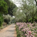 I-giardini-della-Landriana